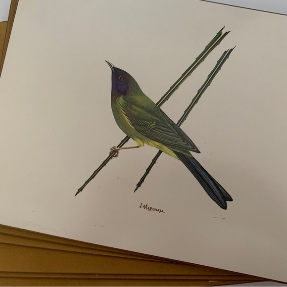 Vintage placemats by Milhurst New Zealand fine art Native Bird Series x 6 - Picture 7 of 14